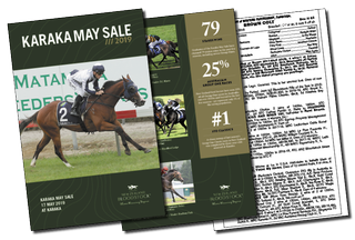 NZB's Karaka May Sale online now